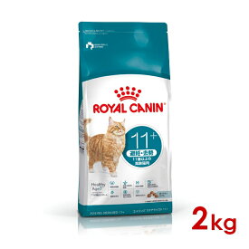 ロイヤルカナン FHN エイジング ステアライズド11+ 高齢猫用 2kg (52905144) ※お一人様5個まで [猫 キャット ドライフード]