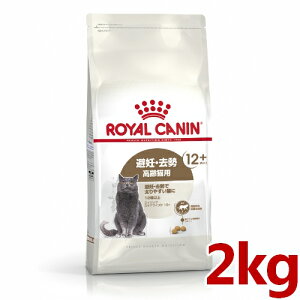 299~OFFN[|111:59CJi FHN GCWO XeACYh12+ Lp 2kg (52905152) ll5܂ [L Lbg hCt[h]