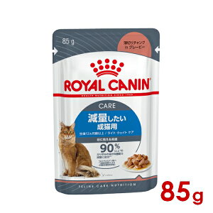 CJi FCN-WET CgEFCgPA O[r[ ʂLp 85g (52906004) ll5܂ [L Lbg EFbgt[h]