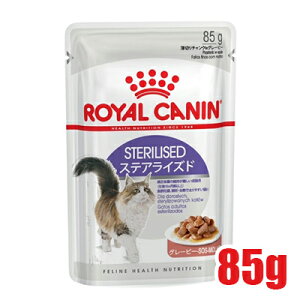 299~OFFN[|111:59CJi FHN-WET XeACYh O[r[ 85g (52906010) ll5܂ [L Lbg EFbgt[h]