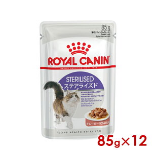 299~OFFN[|111:59CJi FHN-WET XeACYh O[r[ 85g×12 (52909965) ll4܂ [L Lbg EFbgt[h]