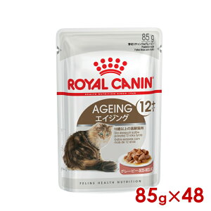 CJi FHN-WET GCWO12+ O[r[ 85g×48 (52909979) ll1܂ [L Lbg EFbgt[h]