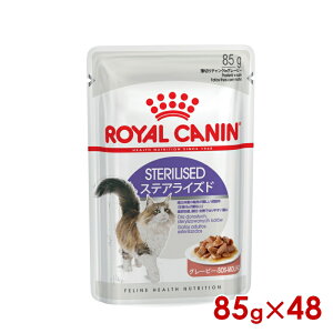 299~OFFN[|111:59CJi FHN-WET XeACYh O[r[ 85g×48 (52909986) ll1܂ [L Lbg EFbgt[h]