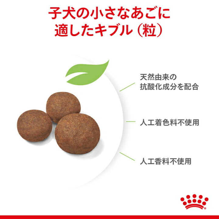 楽天市場】ロイヤルカナン SHN ミディアム パピー 10kg (52901105) ※お 