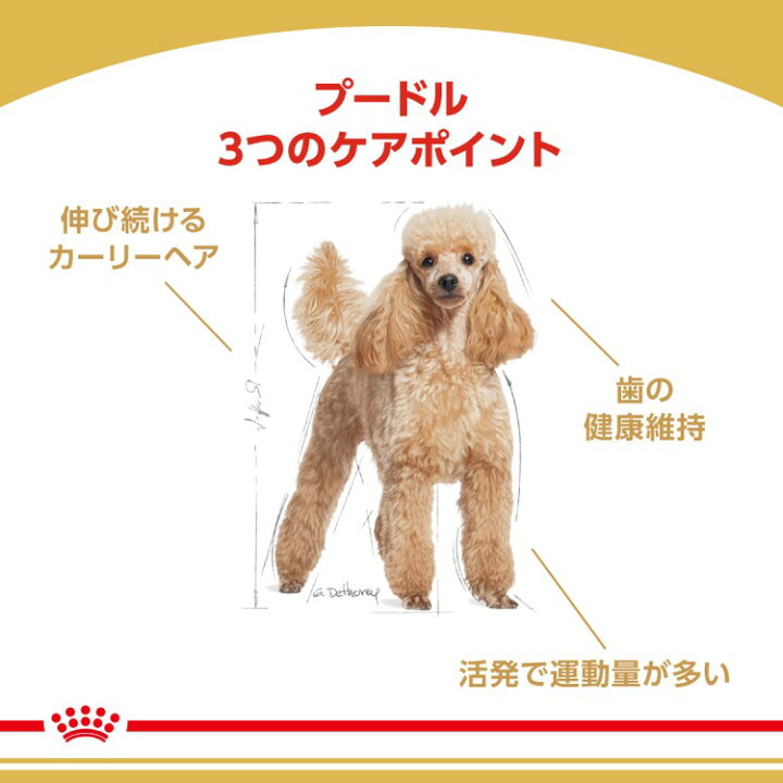 楽天市場】ロイヤルカナン BHN プードル 成犬用 7.5kg (52902063) ※お 