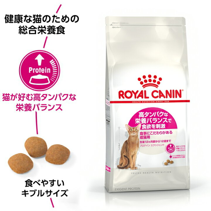 楽天市場】ロイヤルカナン FHN プロテイン エクシジェント 食事に 