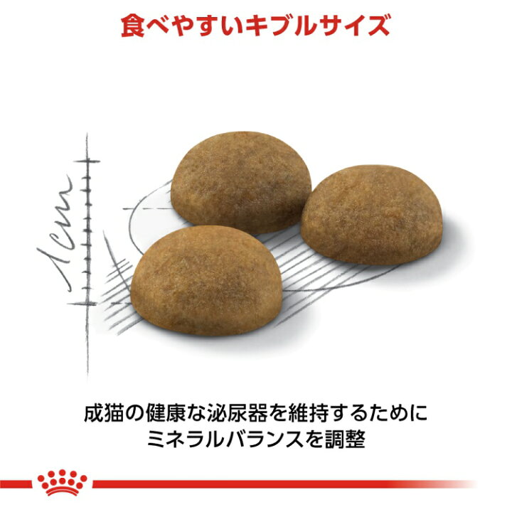 楽天市場】ロイヤルカナン FHN インドア ロングヘアー 室内で生活する 
