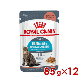 ő400~OFFN[|CJi FCN-WET i[PA O[r[ 85g×12 (s5290000) Ell4܂ [L Lbg EFbgt[h]