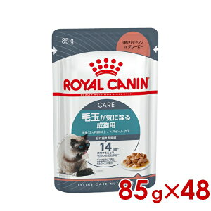 ő400~OFFN[|CJi FCN-WET wA{[PA O[r[ 85g×48 (s5290002) ll1܂ [L Lbg EFbgt[h]