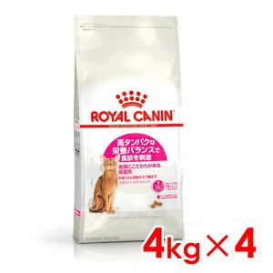 ő400~OFFN[|CJi FHN veC GNVWFg Hɂ肪鐬Lp 4kg×4 (s5290068) ll1܂ [L Lbg hCt[h]