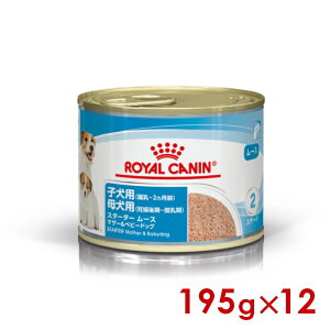 CJi SHN-WET X^[^[[X }U[xr[hbO 195g ×12 (s5290101) ll1܂ [ hbO EFbgt[h]