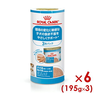 CJi SHN-WET X^[^[[X }U[xr[hbO 195g×3×6Zbg (s5290102) ll1܂ [ hbO EFbgt[h]