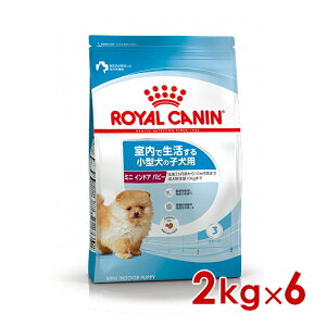 ő400~OFFN[|CJi SHN ~j ChA ps[ 2kg×6 (s5290139) ll1܂ [ hbO hCt[h]