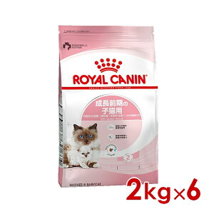 CJi FHN }U[xr[Lbg 2kg ×6(s5290151) ll1܂ [L Lbg hCt[h]