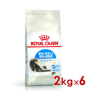 299~OFFN[|111:59CJi FHN ChA OwA[ Ő钷т̐Lp 2kg×6 (s5290154) ll1܂ [L Lbg hCt[h]