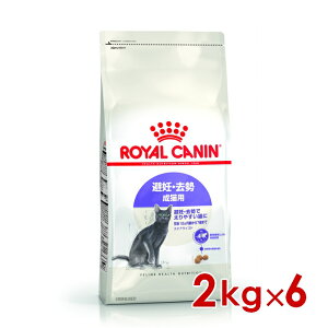CJi FHN XeACYh Lp 2kg×6(s5290162)ll1܂ [L Lbg hCt[h]