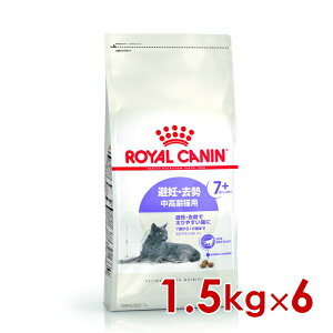 299~OFFN[|111:59CJi FHN XeACYh7+ Lp 1.5kg×6(s5290163)ll1܂ [L Lbg hCt[h]