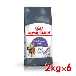 CJi FCN Ay^Cg Rg[ ˂̑Lp 2kg×6 (s5290165) ll1܂ [L Lbg hCt[h]