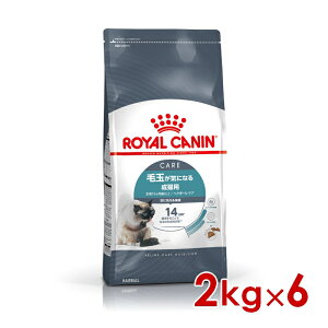 ő400~OFFN[|CJi FCN wA{[PA ыʂCɂȂ鐬Lp 2kg ×6(s5290167) ll1܂ [L Lbg hCt[h]