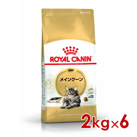 ロイヤルカナン FBN メインクーン 成猫用 2kg×6 (s5290170) ※お一人様1個まで [猫 キャット ドライフード]