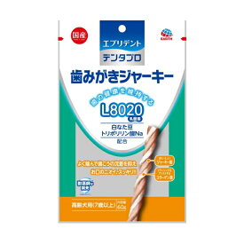 アース・ペット Earth Pet エブリデント デンタプロ 歯みがきジャーキーL8020 高齢犬用　60g (10400207)