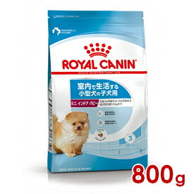 ◆9日1:59迄！299円OFFクーポン◆ロイヤルカナン SHN ミニ インドア パピー 800g (52901010) ※お一人様5個まで [犬 ドッグ ドライフード]