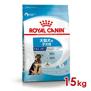 ő400~OFFN[|CJi SHN }LV ps[ 15kg (52901116) ll5܂ [ hbO hCt[h]
