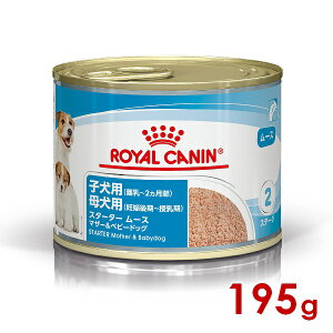 CJi SHN-WET X^[^[[X }U[xr[hbO 195g (52904000) ll5܂ [ hbO EFbgt[h]