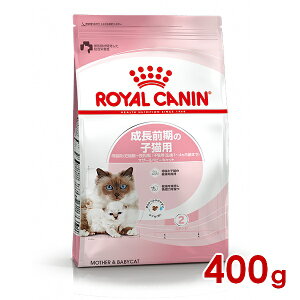 CJi FHN }U[xr[Lbg 400g (52905066) ll5܂ [L Lbg hCt[h]