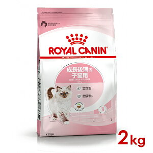 ő400~OFFN[|CJi FHN Lg ̎qLp 2kg (52905070) ll5܂ [L Lbg hCt[h]