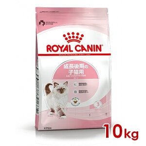 CJi FHN Lg ̎qLp 10kg (52905071) ll5܂ [L Lbg hCt[h]