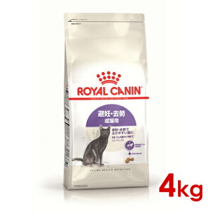 CJi FHN XeACYh Lp 4kg(52905188)ll4܂ [L Lbg hCt[h]