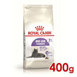 299~OFFN[|111:59CJi FHN XeACYh7+ Lp 400g(52905189)ll5܂ [L Lbg hCt[h]