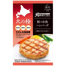 北の極 鮭のお魚ハンバーグ 50g（64100008）