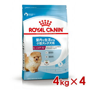 ő400~OFFN[|CJi SHN ~j ChA ps[ 4kg×4 (s5290032) ll1܂ [ hbO hCt[h]