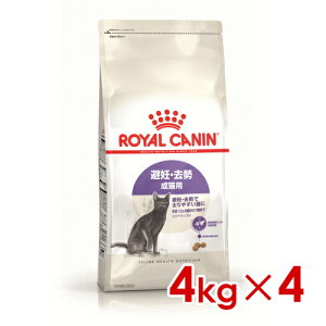 CJi FHN XeACYh Lp 4kg×4 (s5290088) ll1܂ [L Lbg hCt[h]