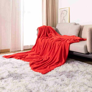 毛布 ブランケット ひざ掛け 冬用 大判 掛け毛布 フランネル フリース 暖かい 柔らかい 防寒保温 膝掛け 抗菌 ベッドシーツ 丸洗い お昼寝 車用 ソファー用 オフィス エアコン対策 オールシ