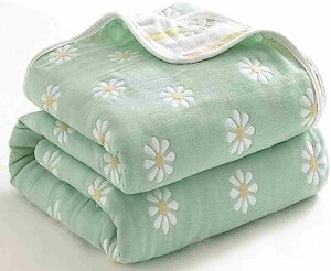 K[[Pbg VO Rbg Ђ| Zd 100 n[tPbg 6dK[[  ^IPbg ZdDK[[ ۈ牀 ZdK[[Pbg  |zc Ђ|  ӂ