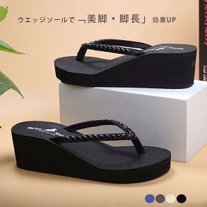 r[`T_ fB[X  r[T ɂȂ ₷  LL r[` T_ q[ gOT_ [V[Y Vv Y߃r[T y nC CO 