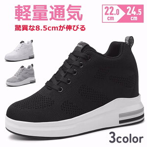 Cq[ V[Nbg C\[ fB[X Xj[J[ V[Y 8.5cmAbv  ₷ r Xb| u[c nCJbg Y zCg Cq[Xj[J[ 傫TCY 