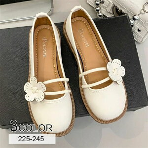 pvX ɂȂ RtH[g oGV[Y fB[X r C K y ؂񂱃pvX ʋ  ₷  r EhgD ubN K[[  ₷ 