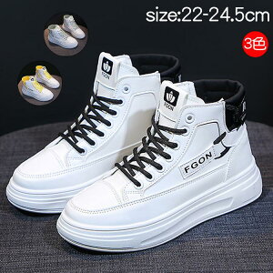 qC Xj[J[ nCJbg LbY WjA ʊw o ʉ I[V[Y l _XV[Y qǂ _XXj[J[ \ KC zCg