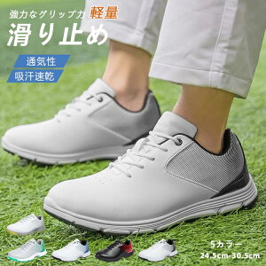 StV[Y Y  傫TCY 4E L XpCNe \tgXpCN y ₷ ʋC ϋv ϊ K rWlX Mtg ̓ ސEj