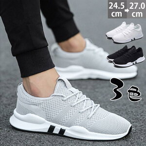 Xj[J[ Y LO X|[c  EH[LO ʋC  h lGp ɂȂ @\ KSn K Ȃ U 傫TCY