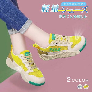 Xj[J[ fB[XEH[LOV[Y KȃbV   CX^f Jt  jbg knit X|[cGANbV y ʊw Xb|