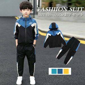 q ZbgAbv tH j̎q W[W ㉺Zbg XEFbg 2_ZbgAbv g[jOEFA  gbvX pc qǂ LbY