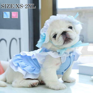 ybgm L  [^ 킢 Ch Lp s[X p s[X ̎q  u[ ubN RX`[  RXv L