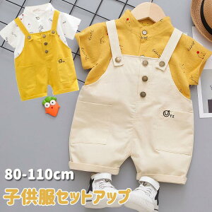 q j̎q ZbgAbv Vc{Tybg  2_Zbg  LbY xr[ Ԃ ㉺Zbg o ܎O ߋ xr[ oYj 