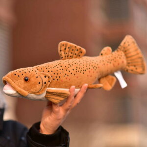 ʂ TJiNV     _炩  킢  O  25cm ʂ NbV A  j  Ǝ ʐ^1 o