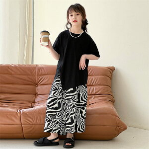  n ㉺Zbg q ̎q KE`pc  ʊw ؍q TVc  ZbgAbv  WjA hbg ʉ LbY